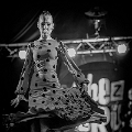 flamenco (77)